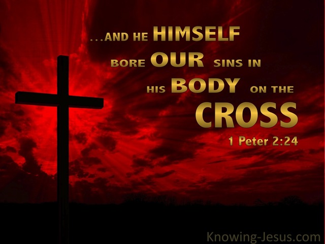 1 Peter 2:24 He Bore Our Sins (red)